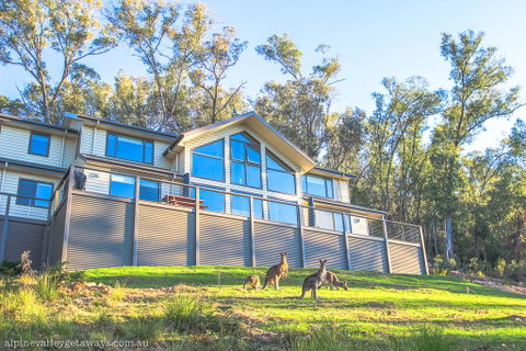 Kangaroo Lodge - Pubs and Clubs 1