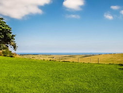 Book Woolamai Accommodation Pubs and Clubs Pubs and Clubs
