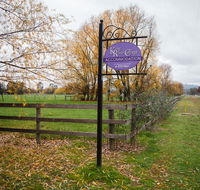 King River Cottage - Pubs and Clubs