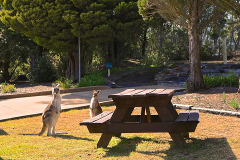 Leura Lodge At Mt Victoria - Pubs and Clubs 2