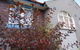 Lurline Villas - thumb 2