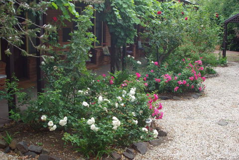 Motel Maldon - Pubs and Clubs 0