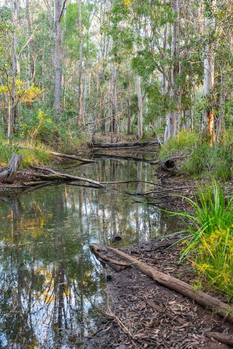 Mango Lodge At River Heads - Pubs and Clubs 3