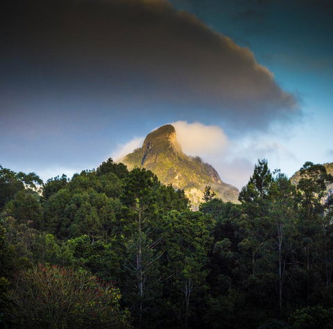 Mavis's Cabins @ Mt Warning - Go Out 1