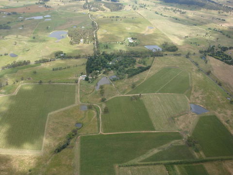 Mayfield Vineyard - Pubs and Clubs 0