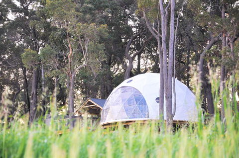 Mile End Glamping Pty Ltd - Pubs and Clubs 2