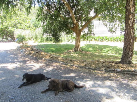 Molenda Lodge Farm Let - Pubs and Clubs 3