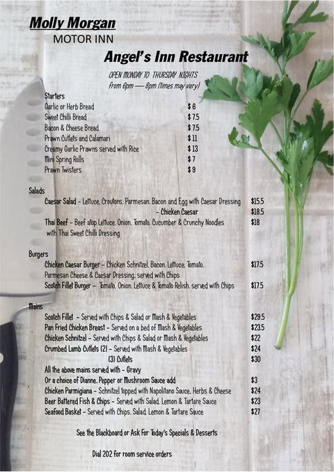 Molly Morgan Motor Inn - Pubs and Clubs 3