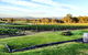 Molly Morgan Vineyard - thumb 1