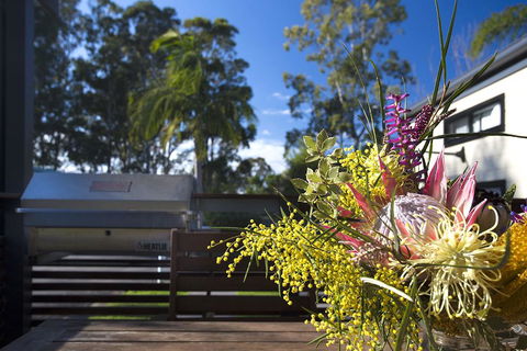 Mollymook Caravan Park - Pubs and Clubs 2