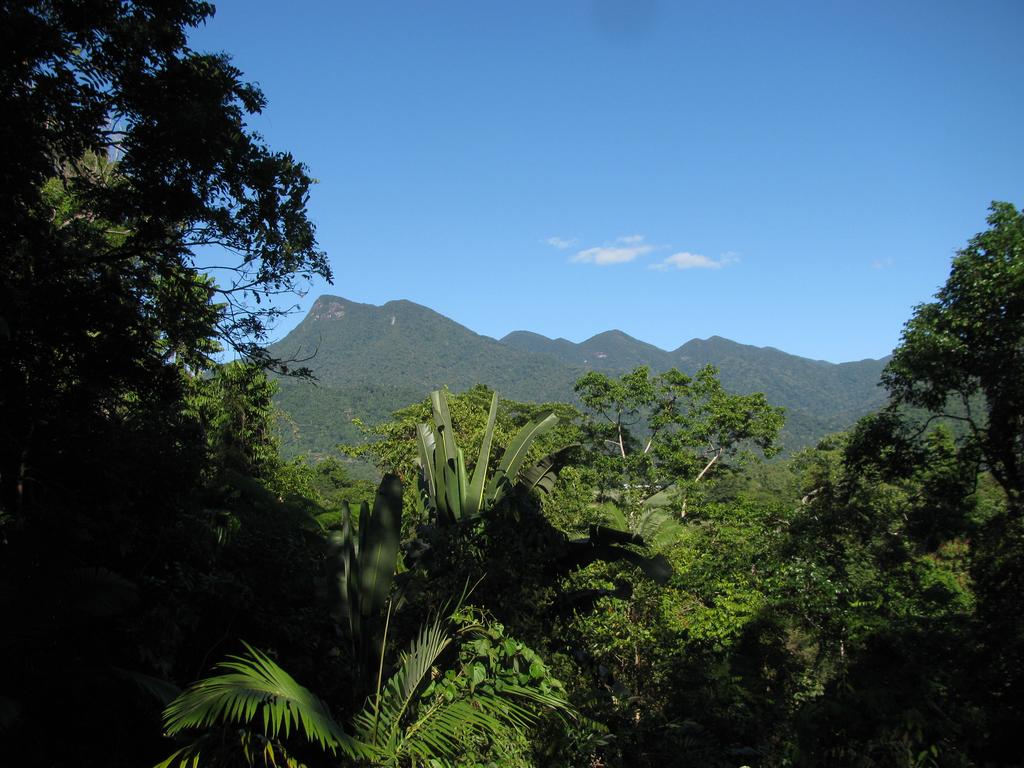 Mossman Gorge QLD Pubs and Clubs