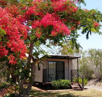 Mt Larcom Tourist Park - Go Out