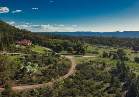 Mudgee Homestead Guesthouse - Pubs and Clubs 1