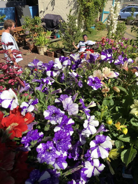 1849 Backpackers Albany - Go Out 15