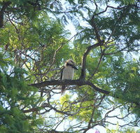 Jacaranda Hideaway Bed  Breakfast - Pubs and Clubs