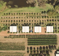 Swan Valley Sisters - Pubs and Clubs