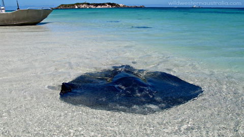 Turner Brook Chalet - Pubs and Clubs 3