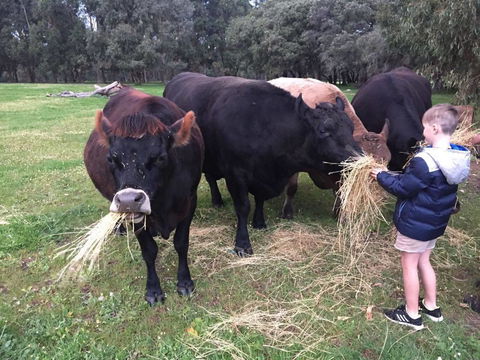 Turner Brook Chalet - Pubs and Clubs 6