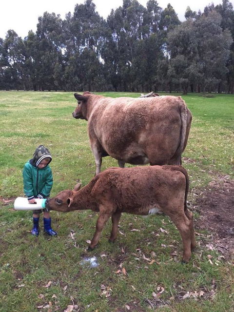 Turner Brook Chalet - Pubs and Clubs 4