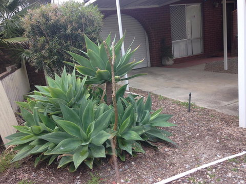 â˜… Stylish Family Home! â˜… - Go Out 2