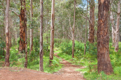 Churchill Studios - Pubs and Clubs 8