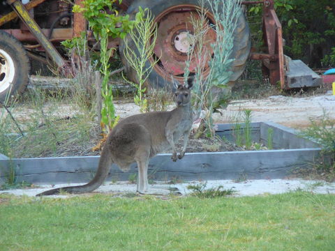 Nannup Bush Retreat - Pubs and Clubs 38