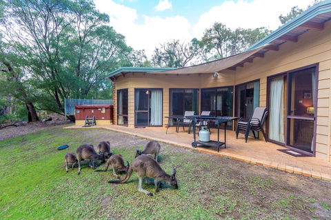 Yelverton Brook Conservation Sanctuary - Pubs and Clubs 18