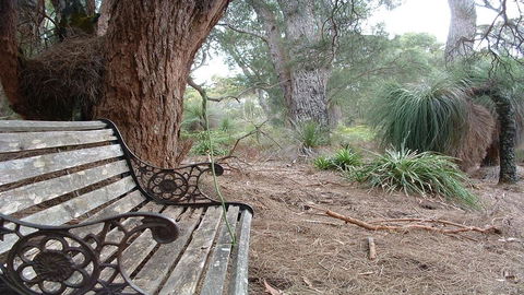 Yelverton Brook Conservation Sanctuary - Pubs and Clubs 42