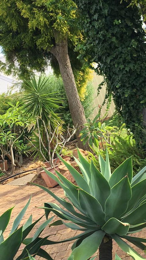 Armadale Cottage Bed & Breakfast - Pubs and Clubs 1