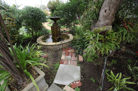 Jacaranda Guest House - Pubs and Clubs 32