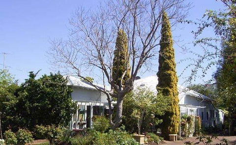 Jacaranda Guest House - Pubs and Clubs 37