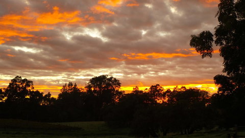 Windfall Estate Vineyard Cottage - Go Out 32