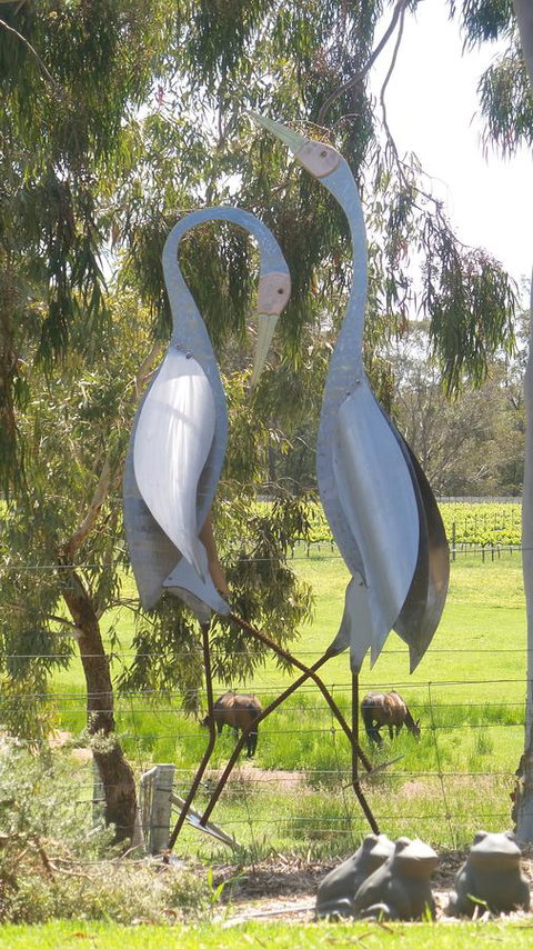 Windfall Estate Vineyard Cottage - Go Out 31