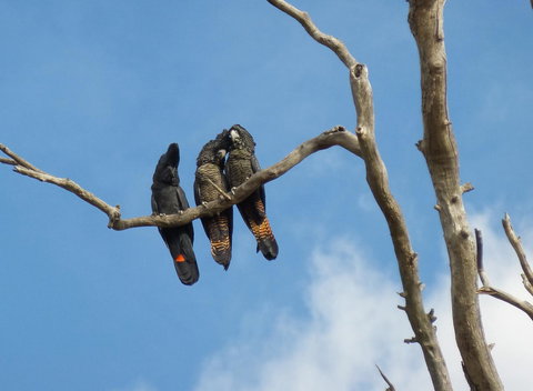 Windfall Estate Vineyard Cottage - Go Out 34