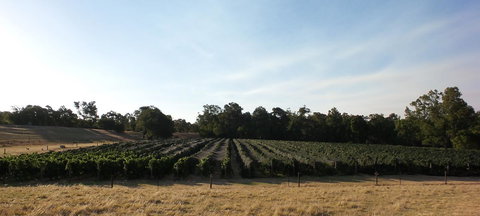 Windfall Estate Vineyard Cottage - Go Out 28