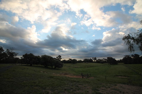 Windfall Estate Vineyard Cottage - Go Out 33