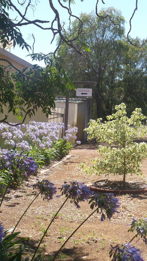 Windfall Estate Vineyard Cottage - Go Out 13