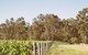 Windfall Estate Vineyard Cottage - thumb 23