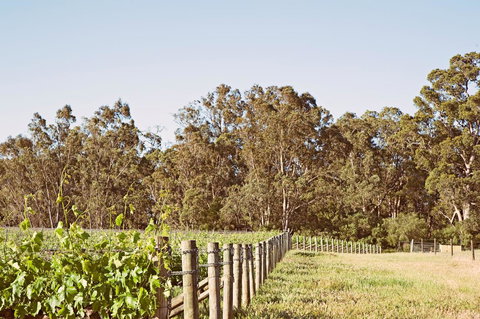 Windfall Estate Vineyard Cottage - Go Out 23