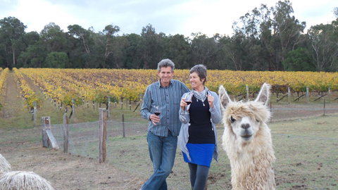 Windfall Estate Vineyard Cottage - Go Out 11