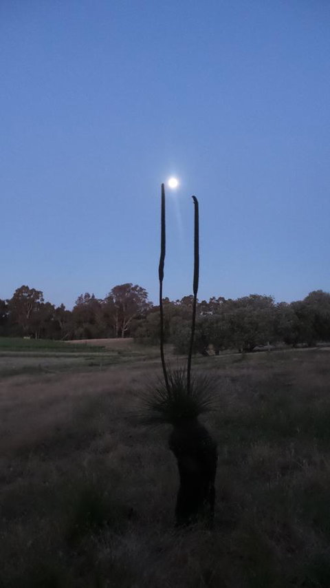 Windfall Estate Vineyard Cottage - Go Out 22