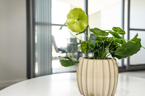 New Apartment On Great Location Opposite Garden City : 02 - Go Out 3