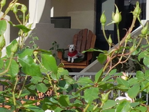 Como Executive Apartment - Pubs and Clubs 17