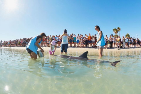 RAC Monkey Mia Dolphin Resort - Go Out 2