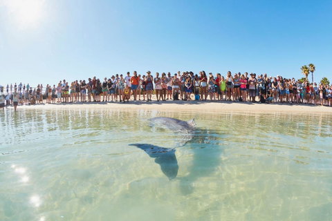 RAC Monkey Mia Dolphin Resort - Go Out 3