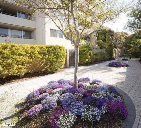 Retro Central Claremont Oasis - Pubs and Clubs 0