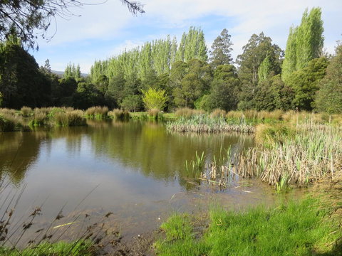 Giants Table And Cottages - Go Out 25