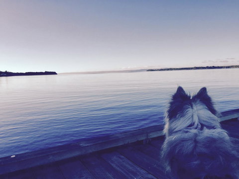 Wandering Geese Boutique Bed And Breakfast - Go Out 21