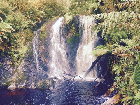 Wandering Geese Boutique Bed And Breakfast - Go Out 29