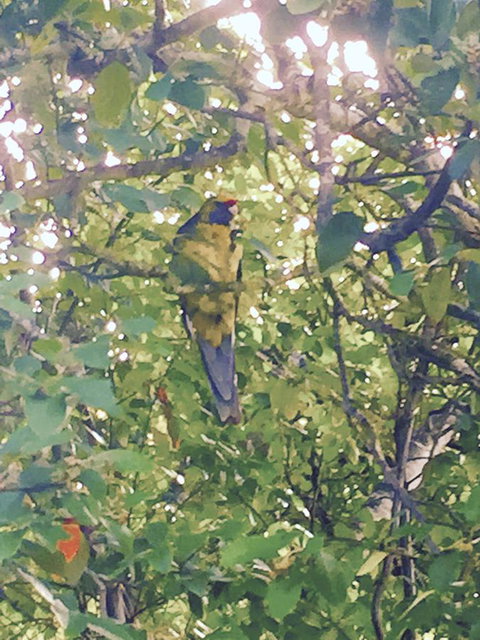 Wandering Geese Boutique Bed And Breakfast - Go Out 24